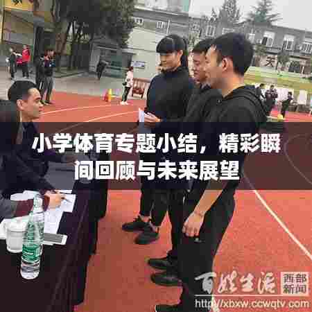 小学体育专题小结，精彩瞬间回顾与未来展望