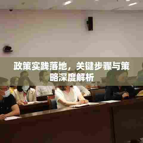政策实践落地，关键步骤与策略深度解析