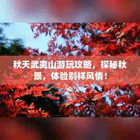 秋天武夷山游玩攻略,探秘秋景,体验别样风情!