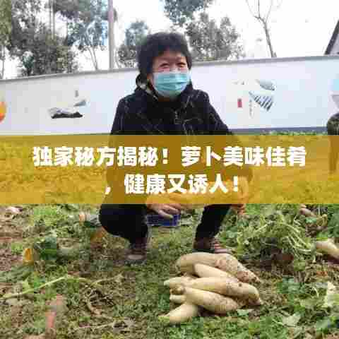 独家秘方揭秘！萝卜美味佳肴，健康又诱人！