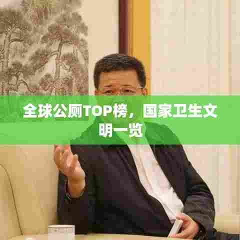 全球公厕TOP榜,国家卫生文明一览