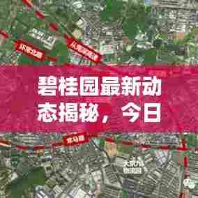 碧桂园最新动态揭秘，今日新闻热点聚焦