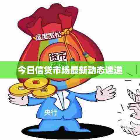 今日信贷市场最新动态速递