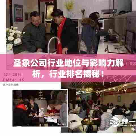 圣象公司行业地位与影响力解析，行业排名揭秘！