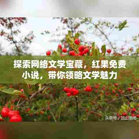 探索网络文学宝藏，红果免费小说，带你领略文学魅力