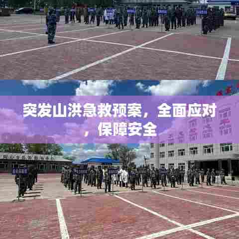 突发山洪急救预案,全面应对,保障安全