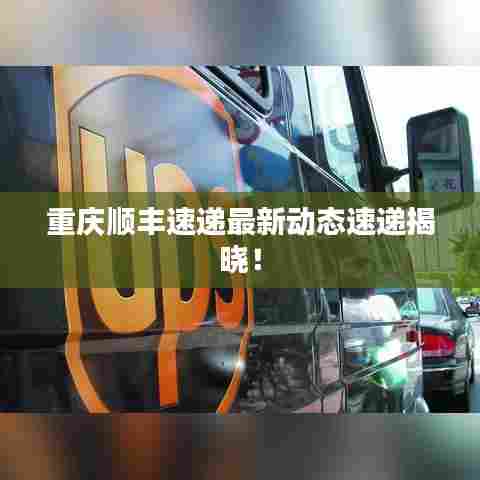 重庆顺丰速递最新动态速递揭晓！