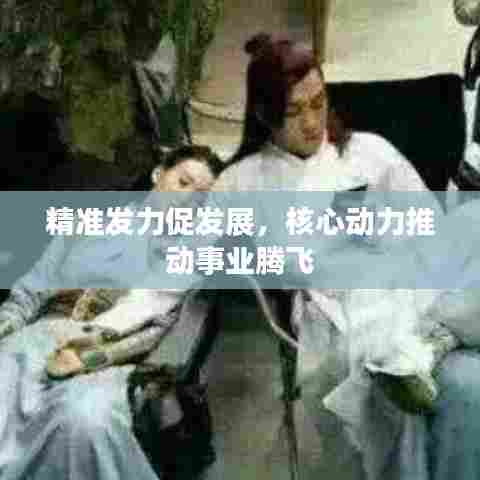 精准发力促发展,核心动力推动事业腾飞