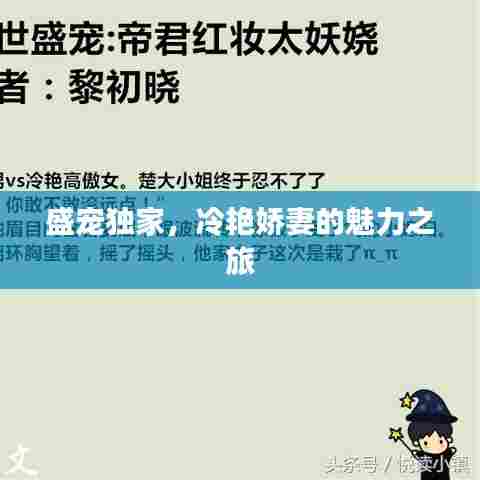 盛宠独家，冷艳娇妻的魅力之旅