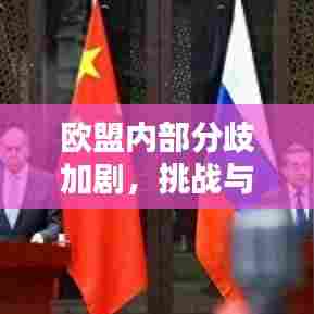 欧盟内部分歧加剧，挑战与未来之路探索