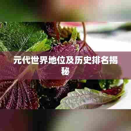 元代世界地位及历史排名揭秘