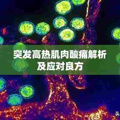 突发高热肌肉酸痛解析及应对良方