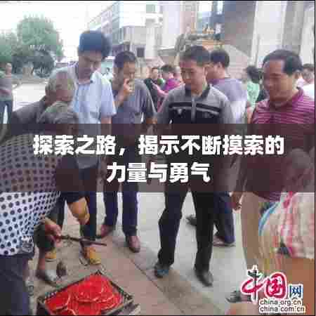 探索之路，揭示不断摸索的力量与勇气