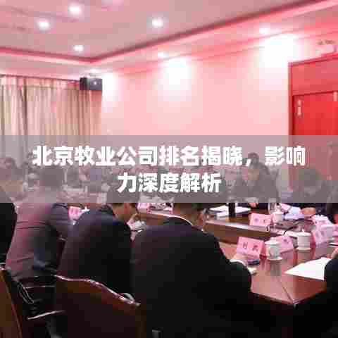 一本正经 第6页