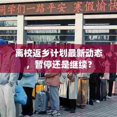 离校返乡计划最新动态，暂停还是继续？
