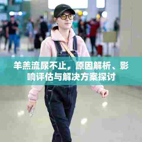 羊羔流尿不止,原因解析、影响评估与解决方案探讨