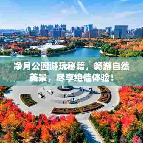 净月公园游玩秘籍，畅游自然美景，尽享绝佳体验！