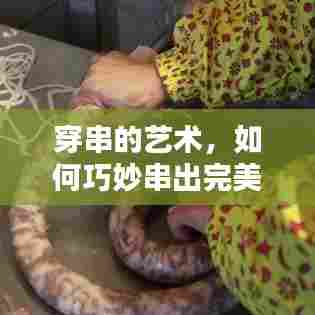 穿串的艺术,如何巧妙串出完美,让绳子始终坚韧不脱