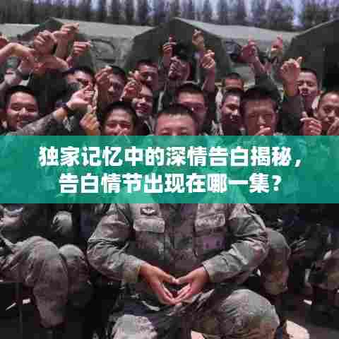 独家记忆中的深情告白揭秘,告白情节出现在哪一集?