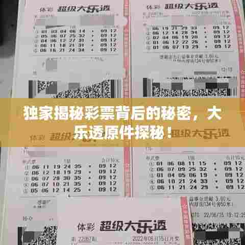 独家揭秘彩票背后的秘密，大乐透原件探秘！