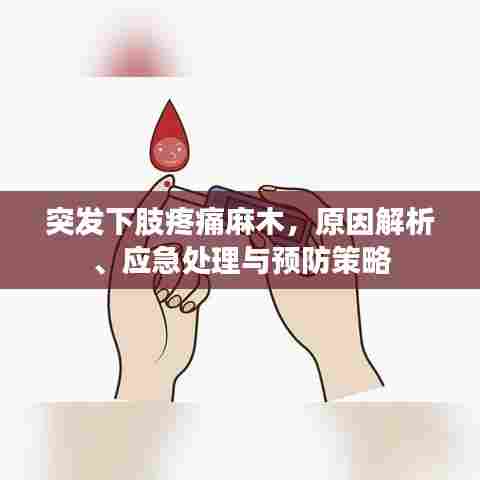 突发下肢疼痛麻木,原因解析、应急处理与预防策略