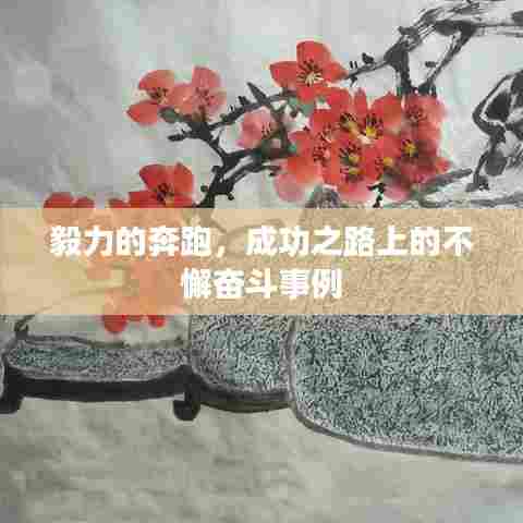 毅力的奔跑，成功之路上的不懈奋斗事例