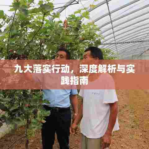 九大落实行动，深度解析与实践指南