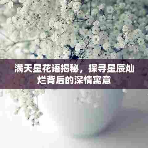 满天星花语揭秘,探寻星辰灿烂背后的深情寓意