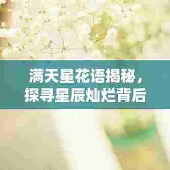 满天星花语揭秘,探寻星辰灿烂背后的深情寓意