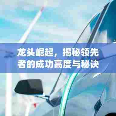 龙头崛起，揭秘领先者的成功高度与秘诀