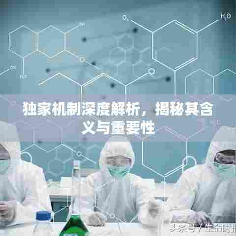 独家机制深度解析，揭秘其含义与重要性