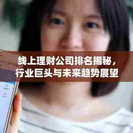 线上理财公司排名揭秘，行业巨头与未来趋势展望
