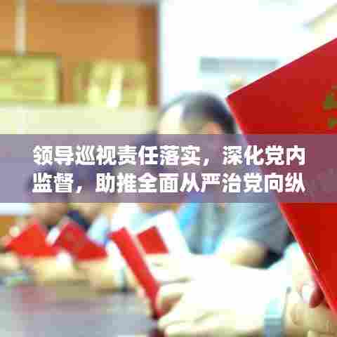 领导巡视责任落实，深化党内监督，助推全面从严治党向纵深发展