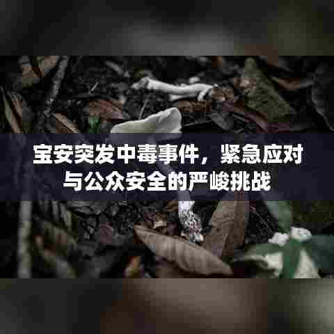 宝安突发中毒事件，紧急应对与公众安全的严峻挑战