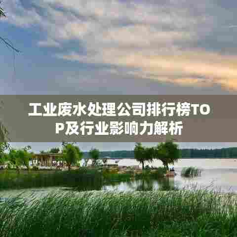 工业废水处理公司排行榜TOP及行业影响力解析