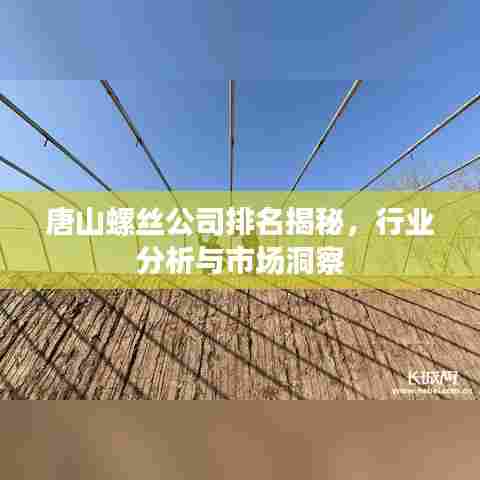 唐山螺丝公司排名揭秘,行业分析与市场洞察