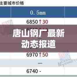 唐山钢厂最新动态报道