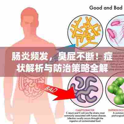 肠炎频发,臭屁不断!症状解析与防治策略全解析