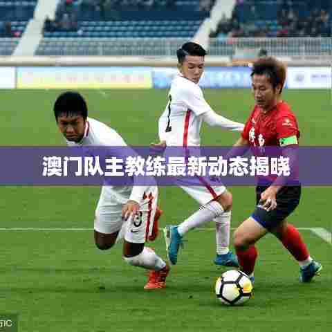 澳门队主教练最新动态揭晓