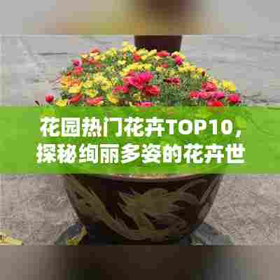 花园热门花卉TOP10,探秘绚丽多姿的花卉世界