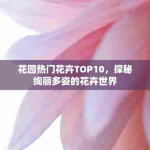 花园热门花卉TOP10，探秘绚丽多姿的花卉世界