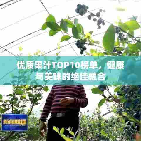 优质果汁TOP10榜单,健康与美味的绝佳融合