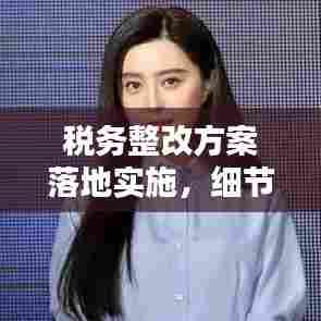 税务整改方案落地实施,细节解析与行动指南