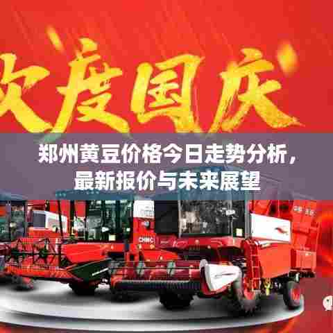 郑州黄豆价格今日走势分析，最新报价与未来展望
