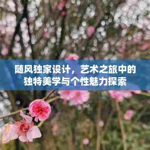 随风独家设计,艺术之旅中的独特美学与个性魅力探索