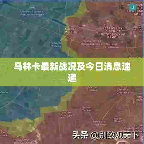 马林卡最新战况及今日消息速递