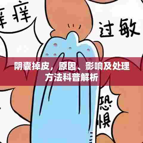 阴囊掉皮，原因、影响及处理方法科普解析