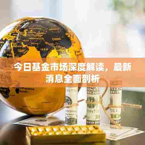 今日基金市场深度解读，最新消息全面剖析