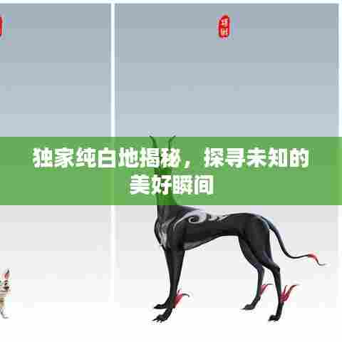 独家纯白地揭秘，探寻未知的美好瞬间