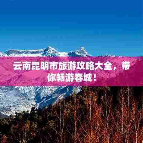 云南昆明市旅游攻略大全，带你畅游春城！